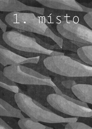 Vodní prvky na Dominikánské náměstí v Brně